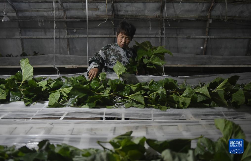 下载游戏中心软件